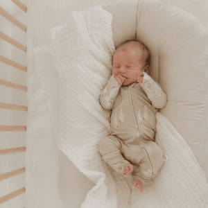 Silly Goose, 0-3 Months